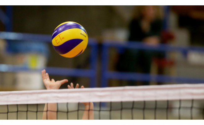 Volleyball-generic-web